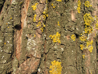 Similar image 131404