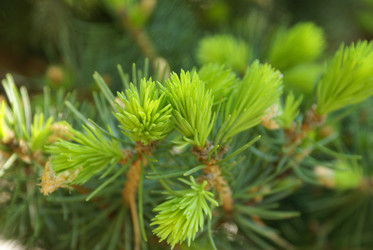 Similar image 131409