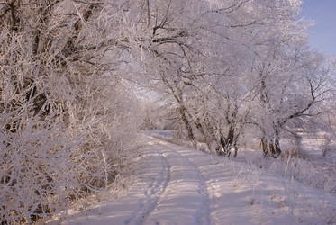 Similar image 131410