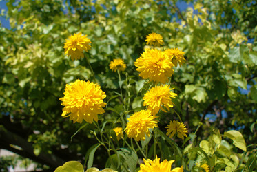 Similar image 131415