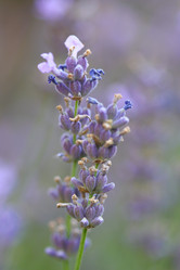 Similar image 131453