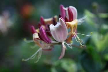 Similar image 131458