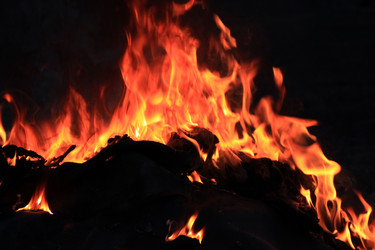 Similar image 131467