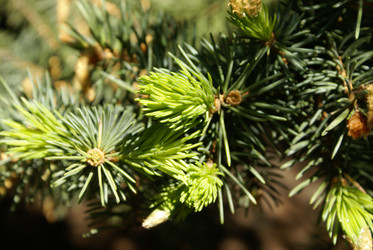 Similar image 131474