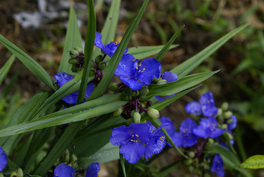 Similar image 131476