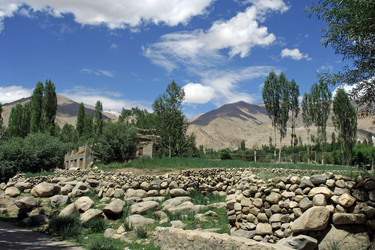 Similar image 131477