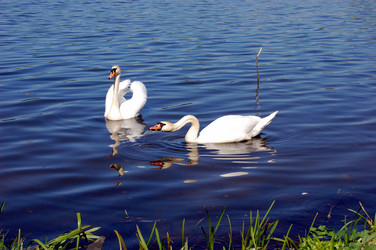 Similar image 131481