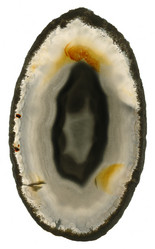 Similar image 131496