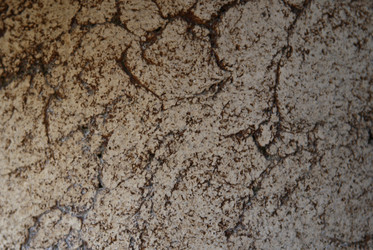 Similar image 131498