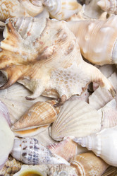 Similar image 131525