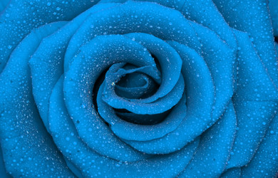 Similar image 131552