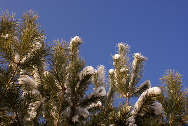 Similar image 131593