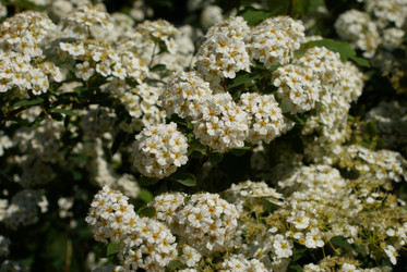 Similar image 131620