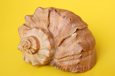 Similar image 131658