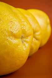 Similar image 131664