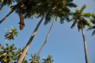 Similar image 131678