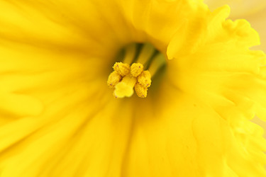 Similar image 131682