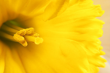 Similar image 131683