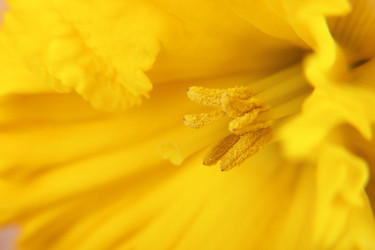 Similar image 131686