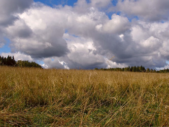 Similar image 131701