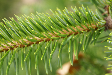 Similar image 131714