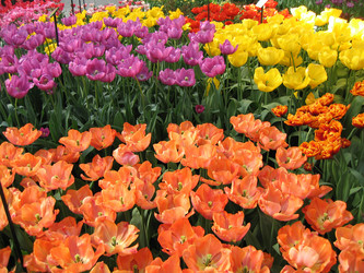 Similar image 131716