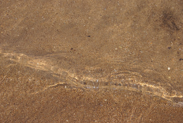 Similar image 131721