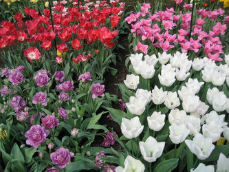 Similar image 131728