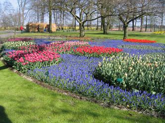 Similar image 131751