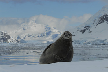 Similar image 131752