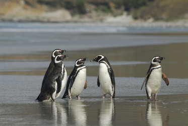 Similar image 131800