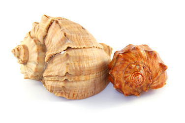 Similar image 131807