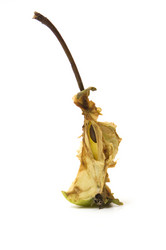 Similar image 131809