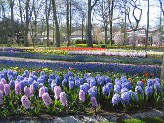 Similar image 131810