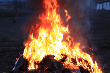 Similar image 131836