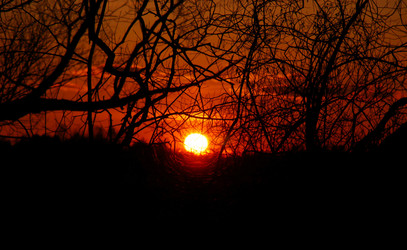 Similar image 131837