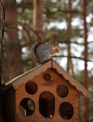 Similar image 131889