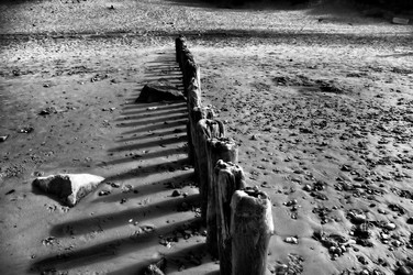 Similar image 131950