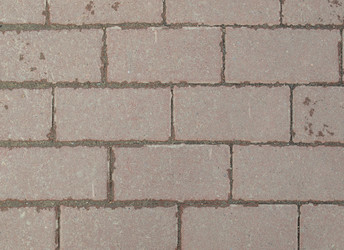 Similar image 131954