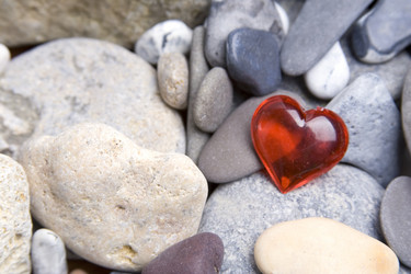 Similar image 131976