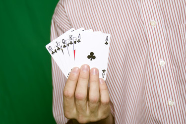 Similar image 132032