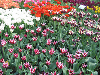 Similar image 132037