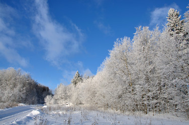 Similar image 132070