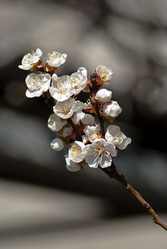 Similar image 132076