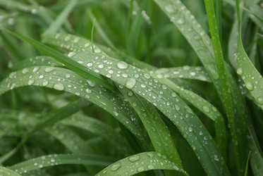 Similar image 132079