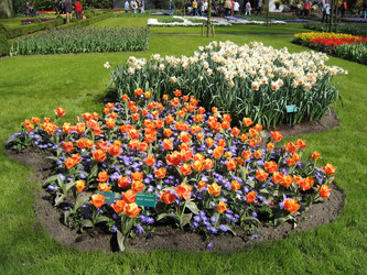 Similar image 132110