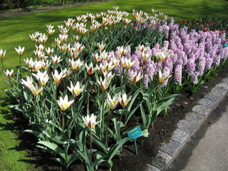 Similar image 132111