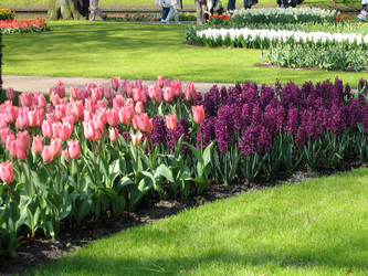 Similar image 132112