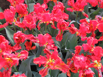 Similar image 132123