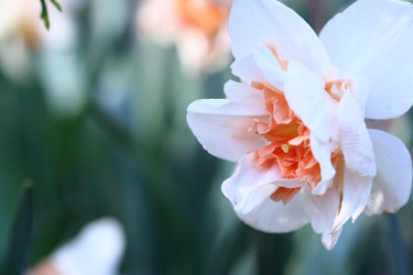 Similar image 132127